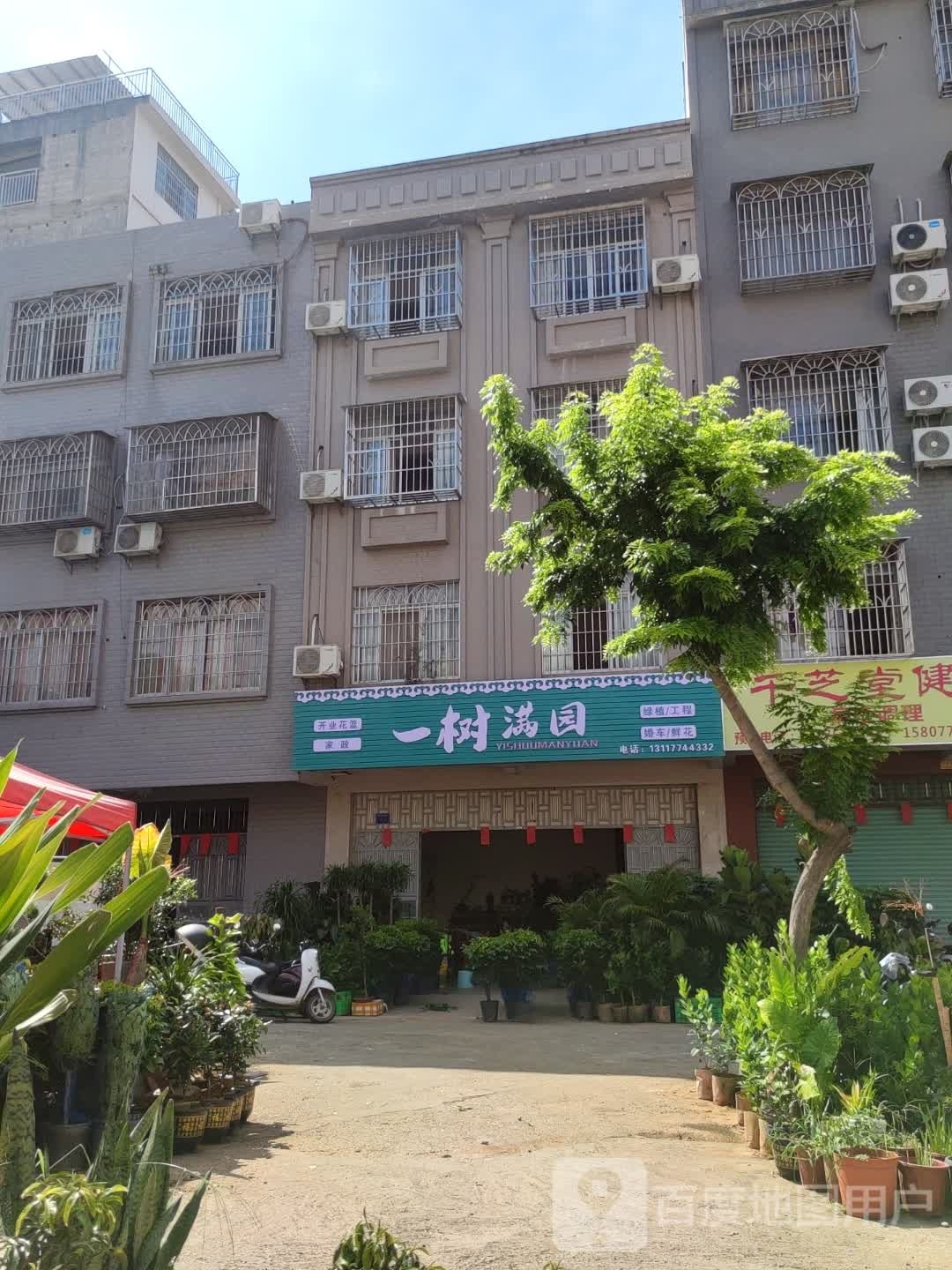 一树满园(明都新城店)