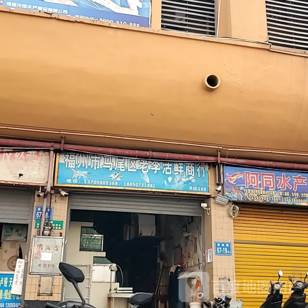 马尾海鲜批发B区(虾)
