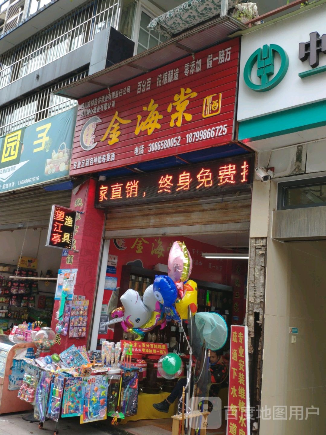 金海棠