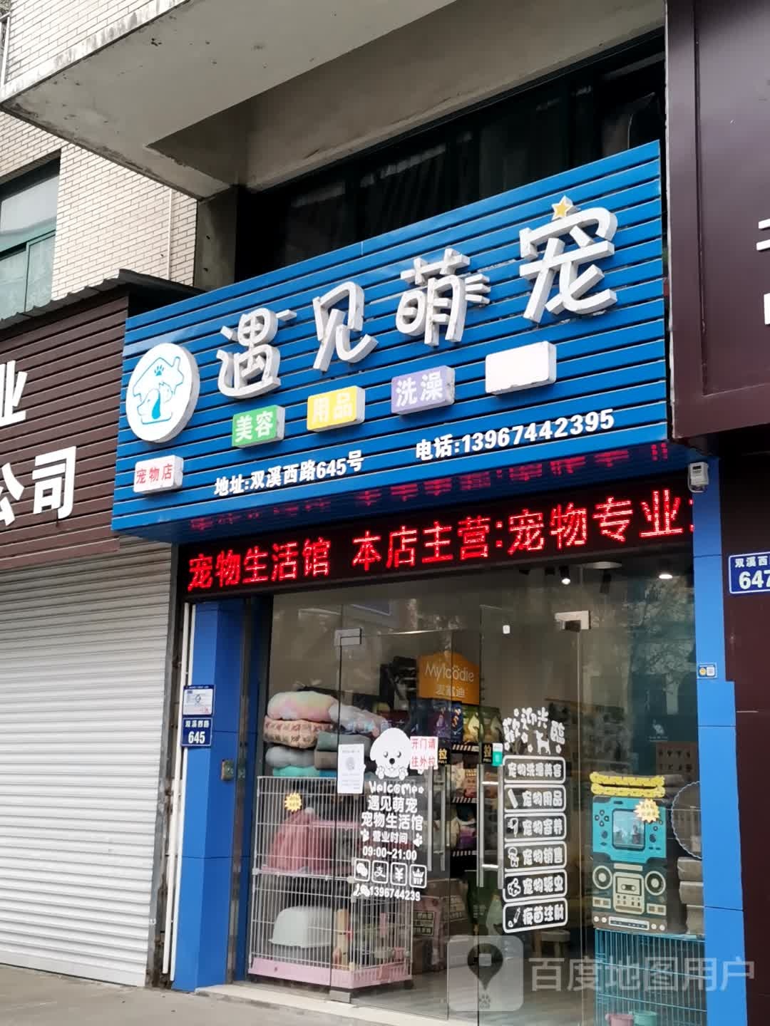 遇见萌宠宠物店