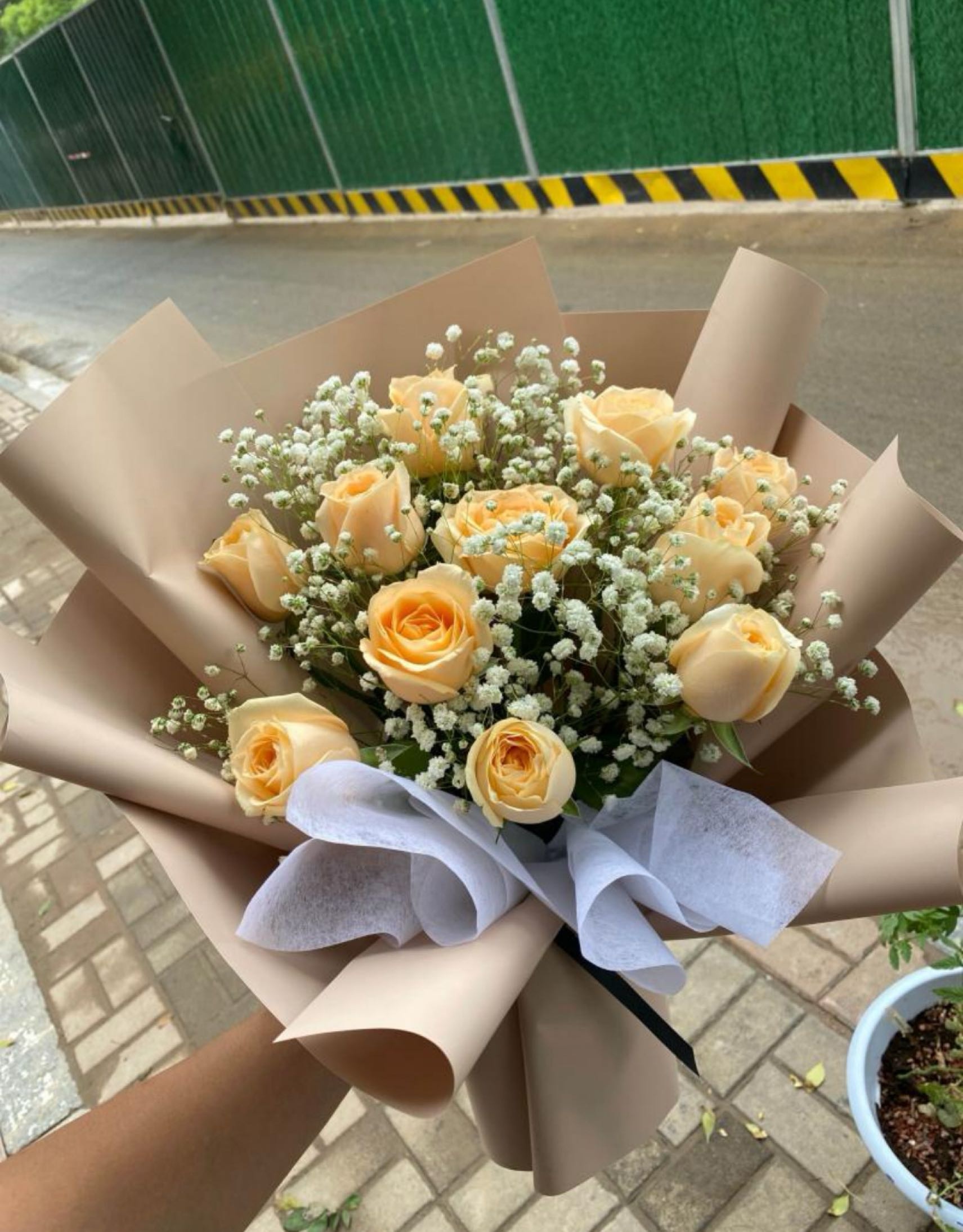 sunflower(光明路店)