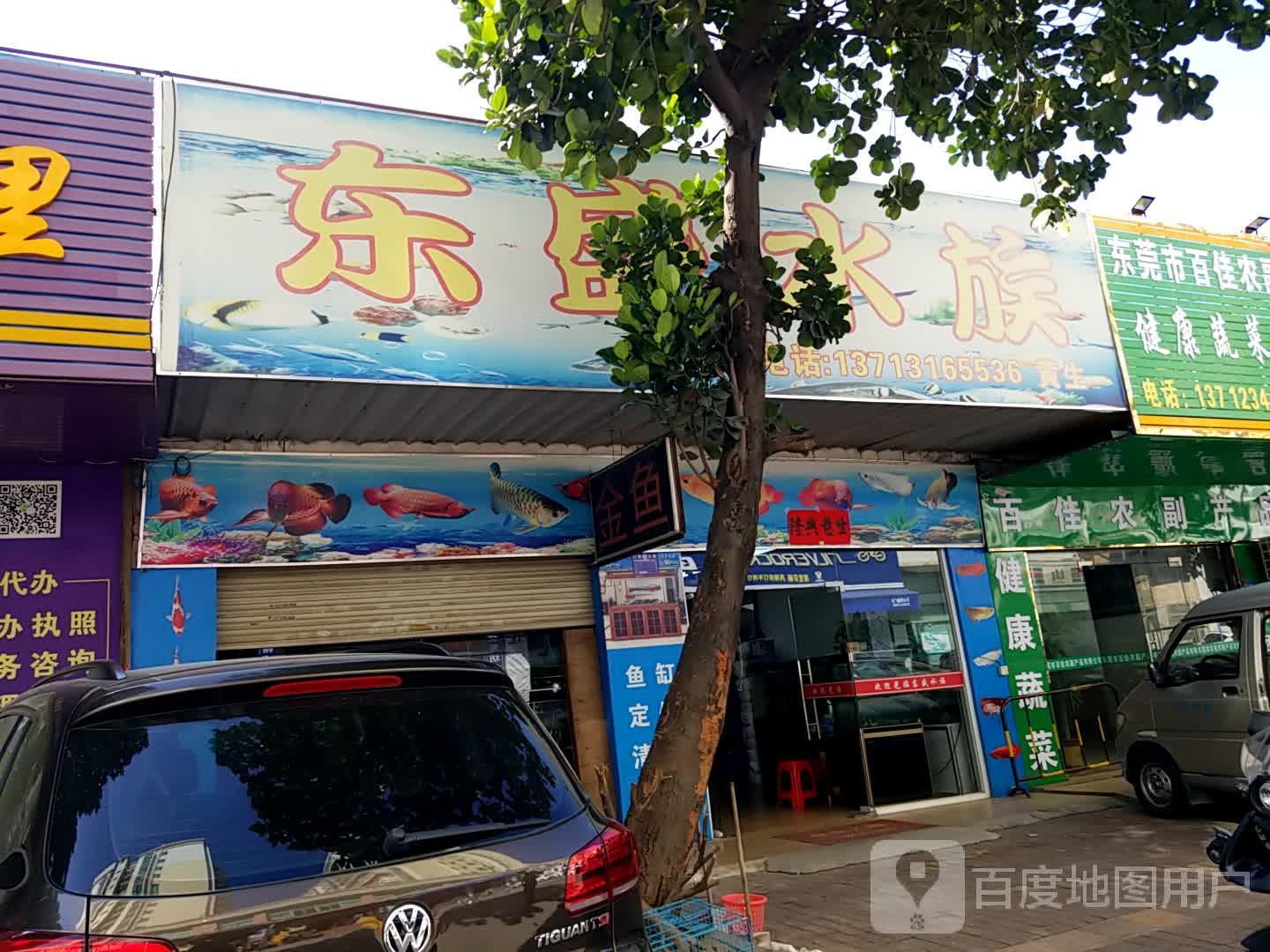 东盛水族