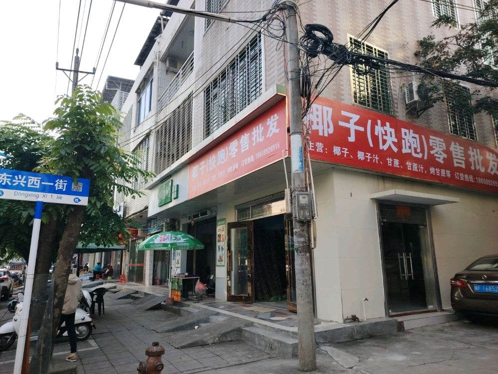 椰子(快跑)零售批发