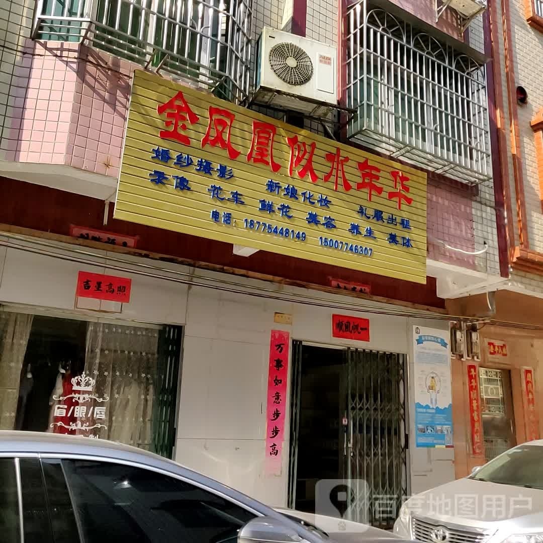年金蜥华似凤凰匙水