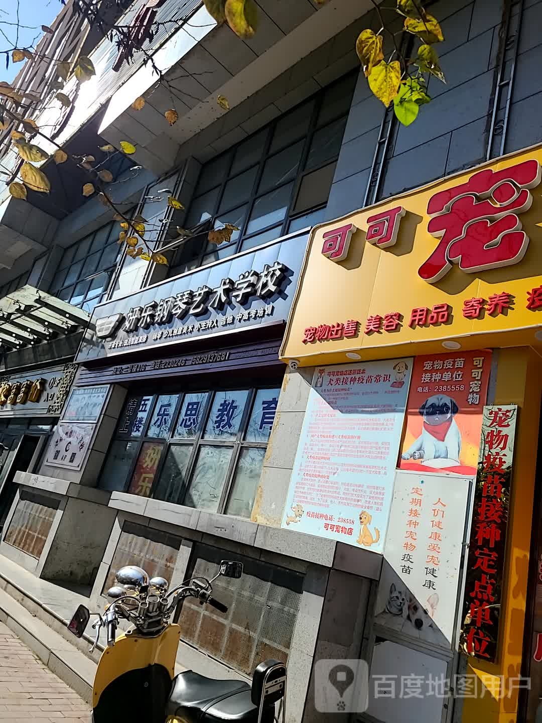 可可宠物店(莲湖店)