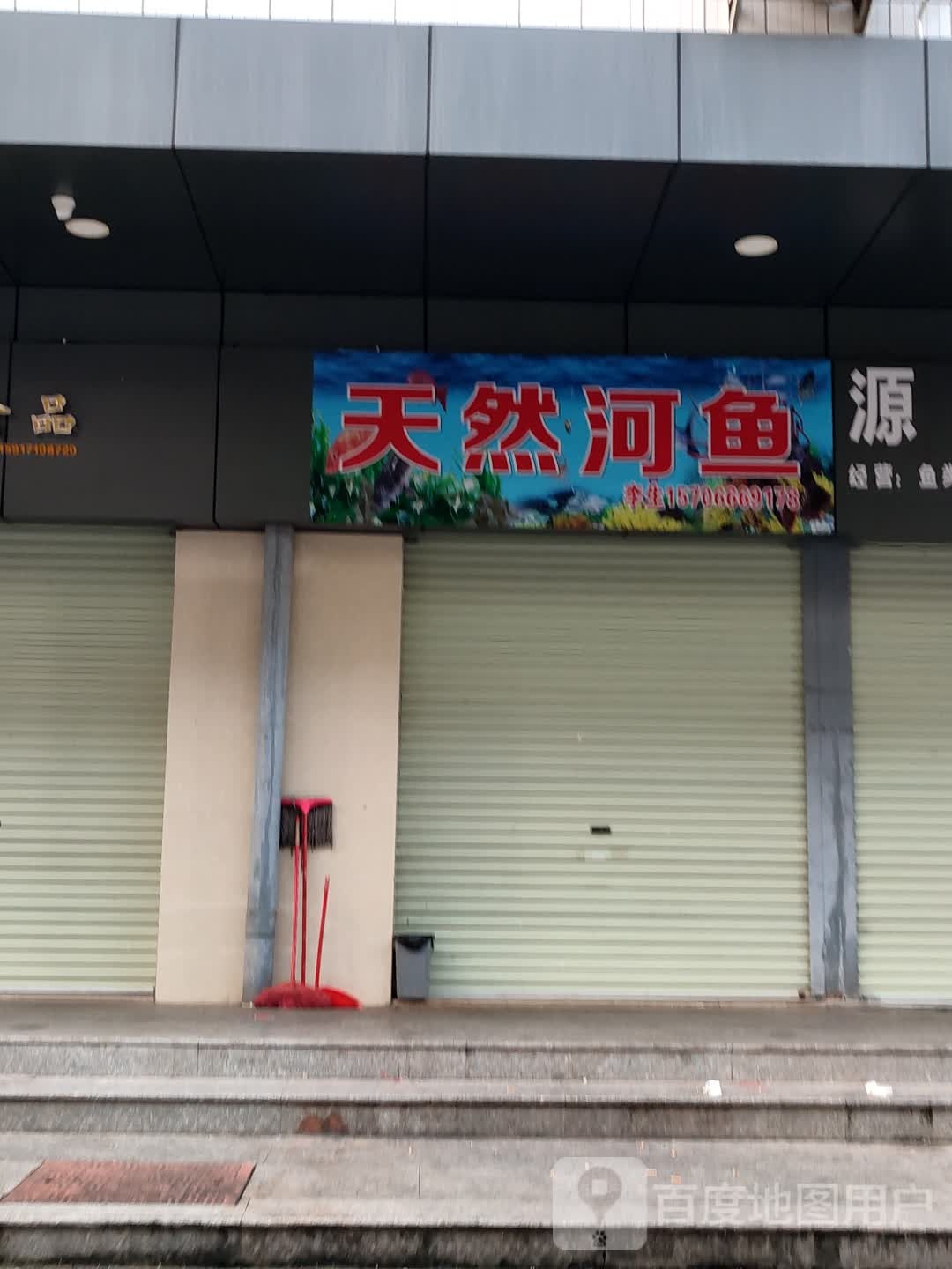 天然河鱼