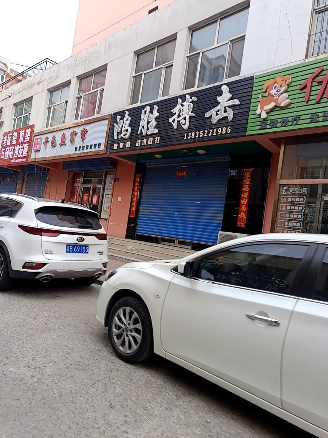 鸿胜搏击