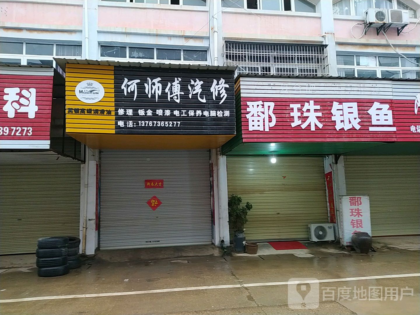 鄱珠银鱼