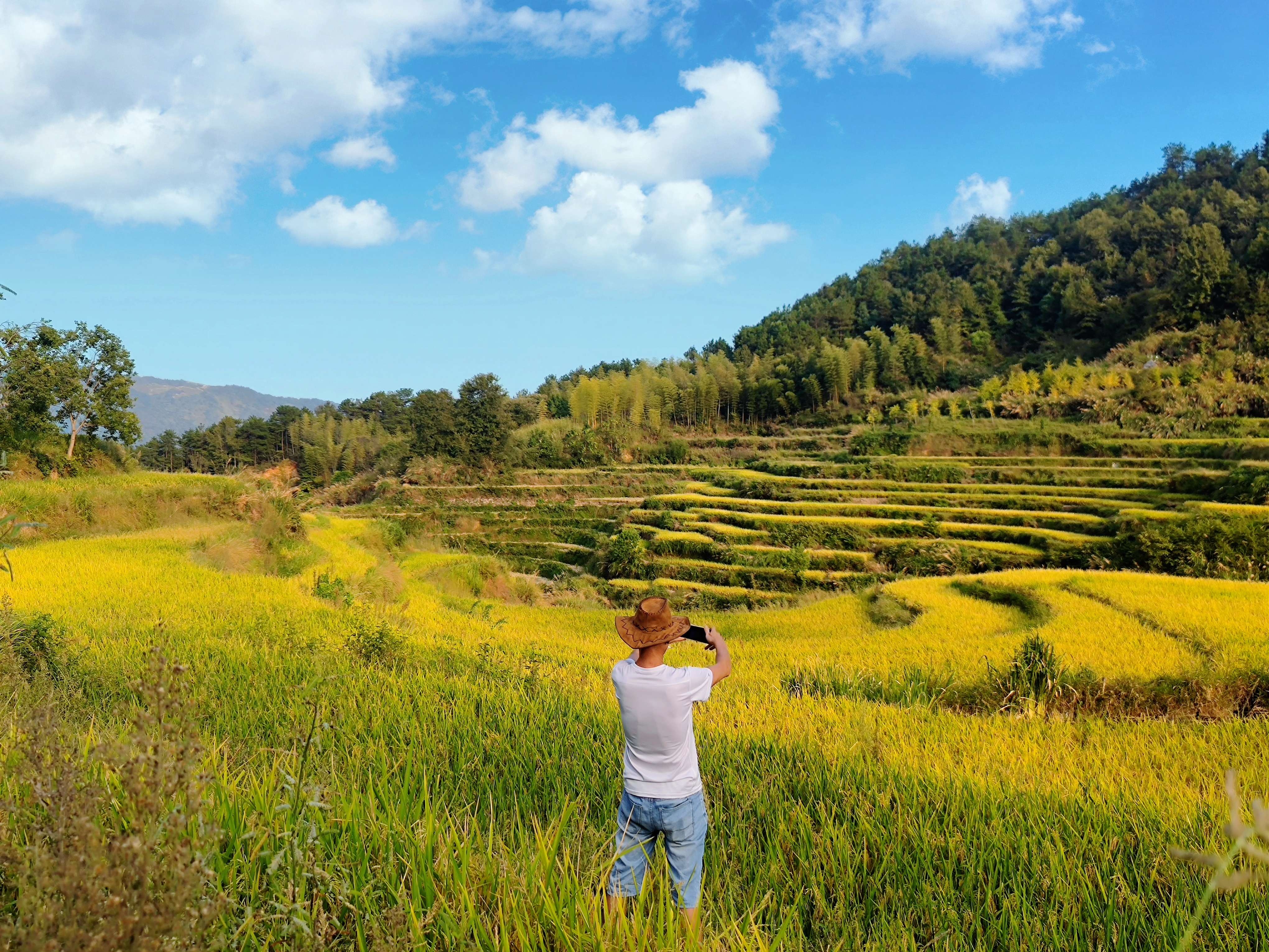 雾云山梯田生态旅游区