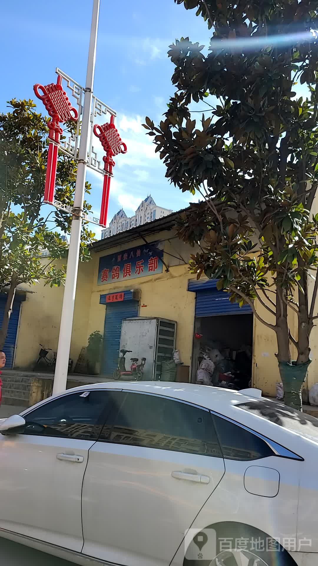 赛鸽俱乐部