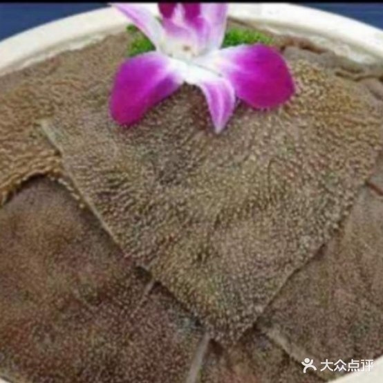 娄湖坎上坎老火