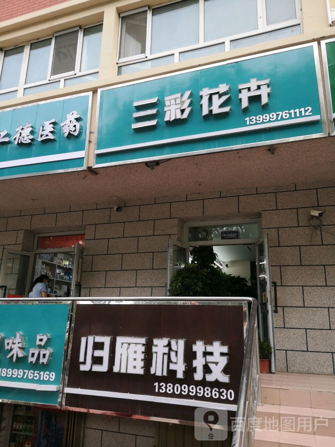 精河三彩花卉