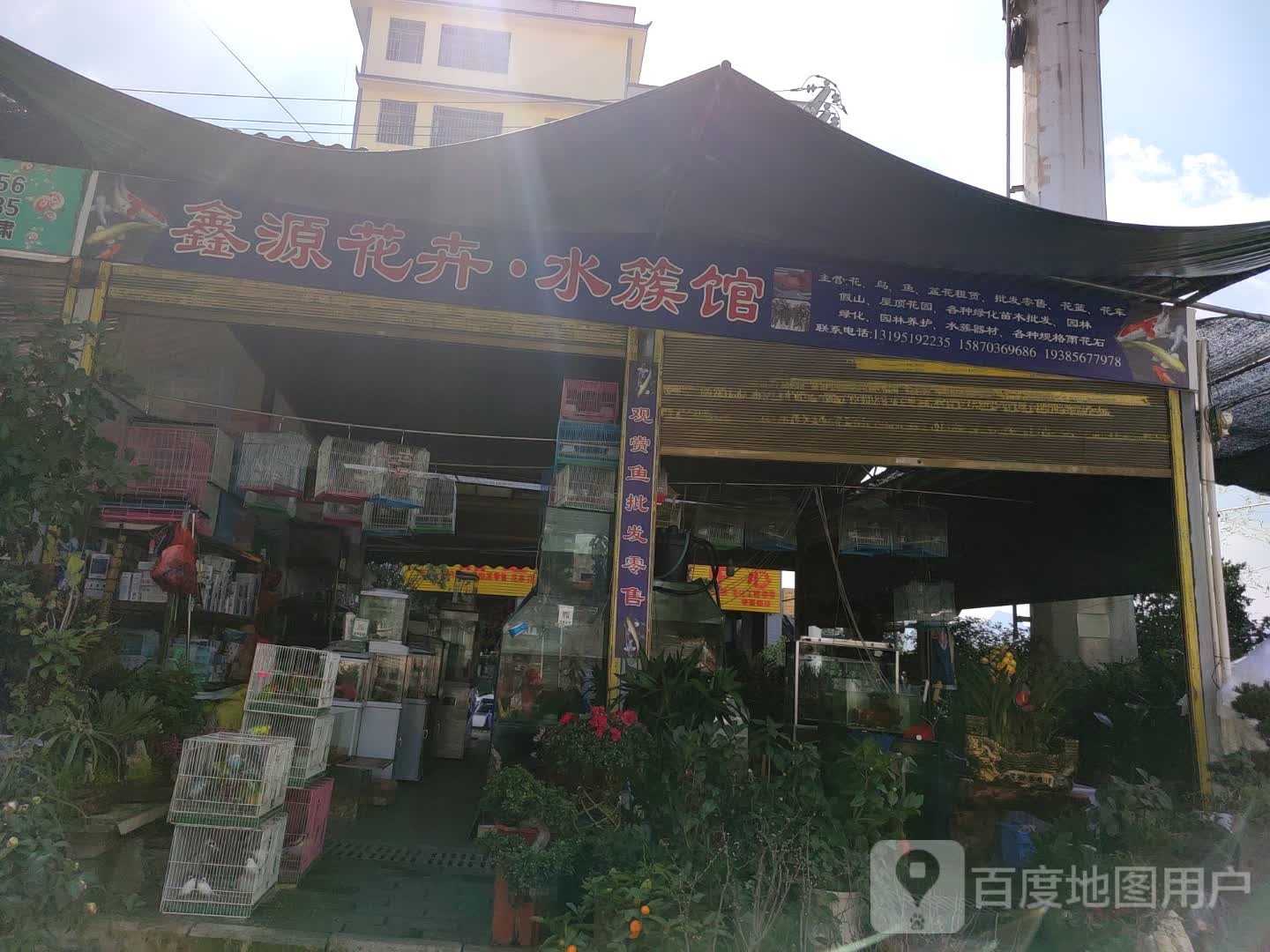 鑫源花卉(鸟虫街店)