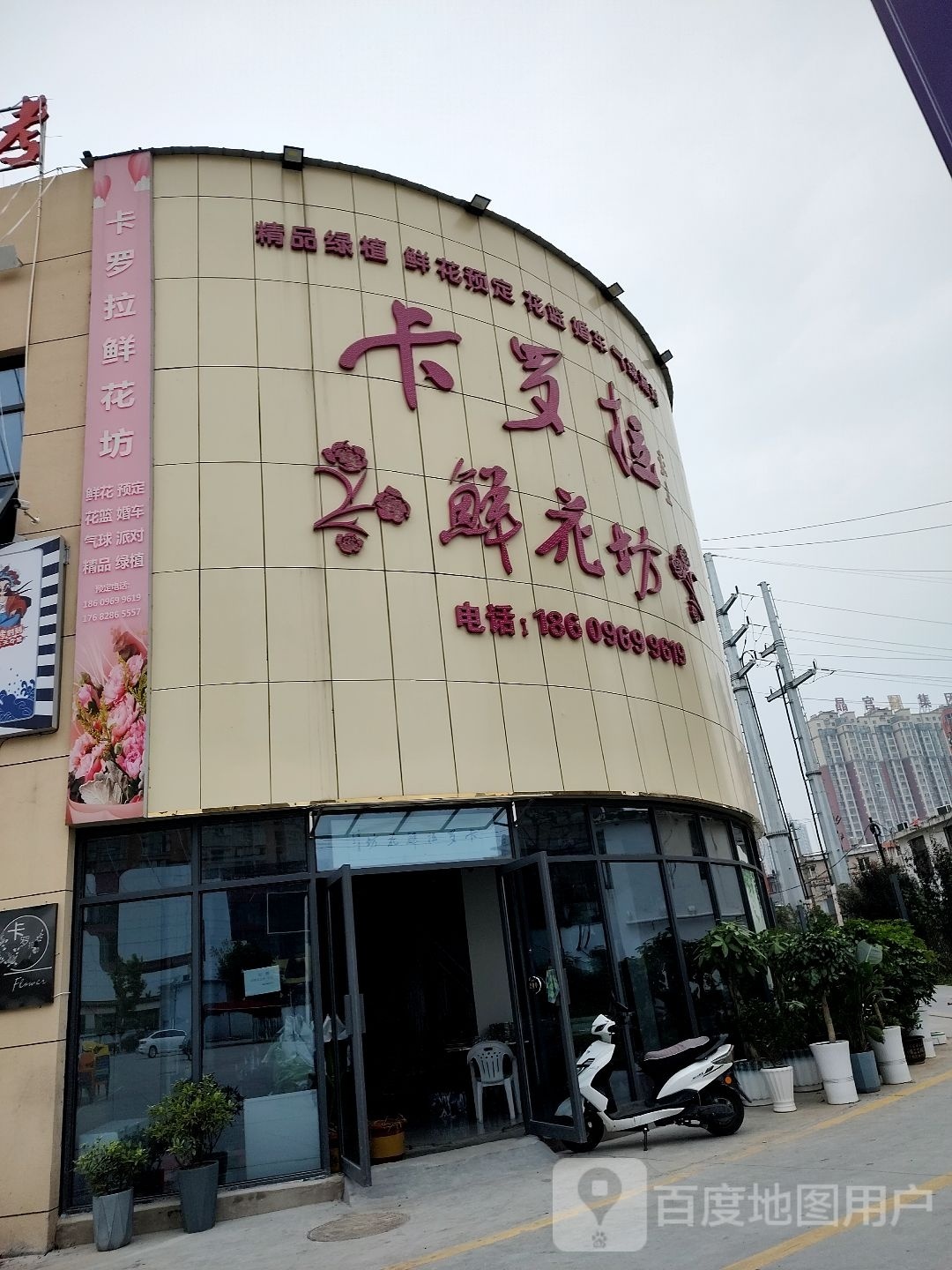 卡罗拉鲜花坊(泰谷店)
