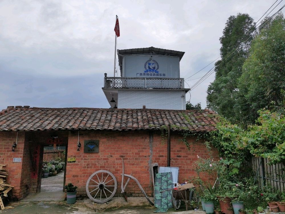 广西勇翔信鸽俱乐部