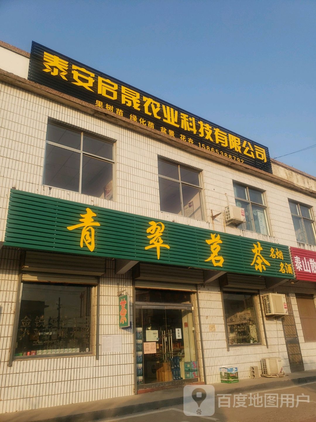 青翠茗茶