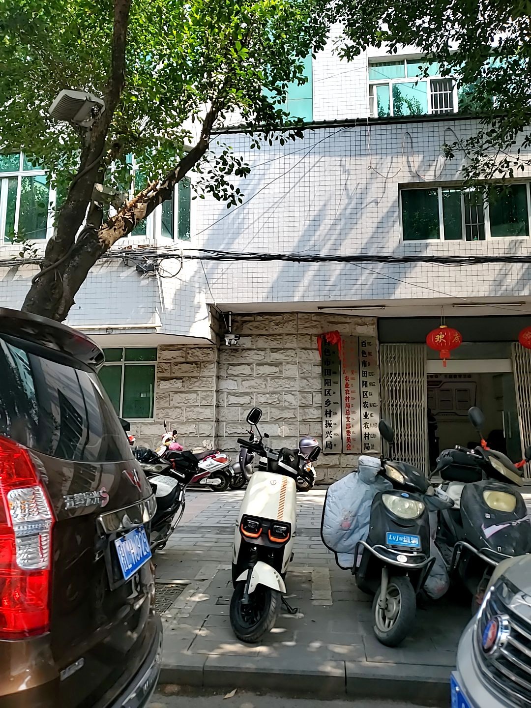 田阳区农业农村局