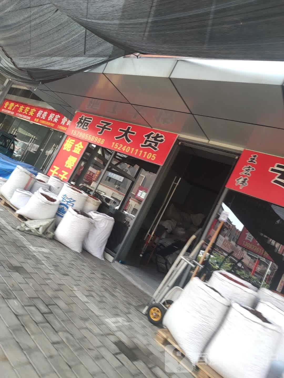 栀子大货