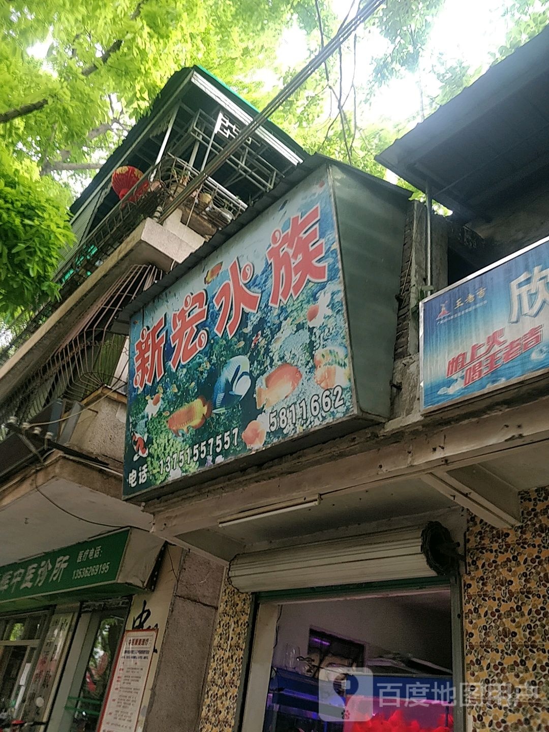 新宏水族