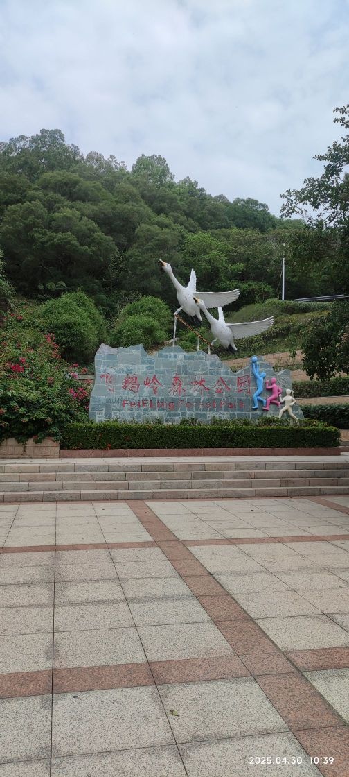 东平镇飞鹅岭森林公园