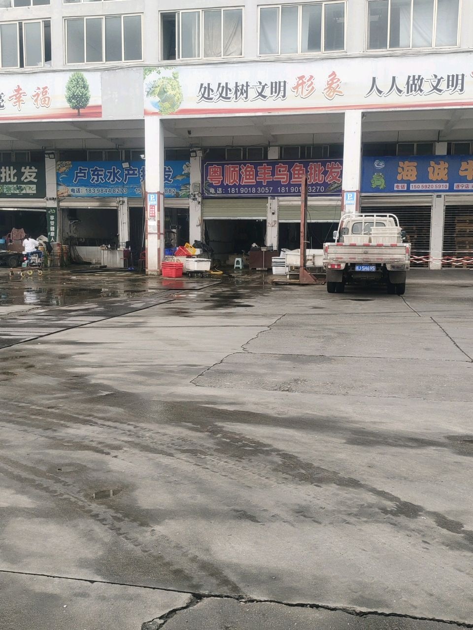 粤顺渔丰乌鱼批发