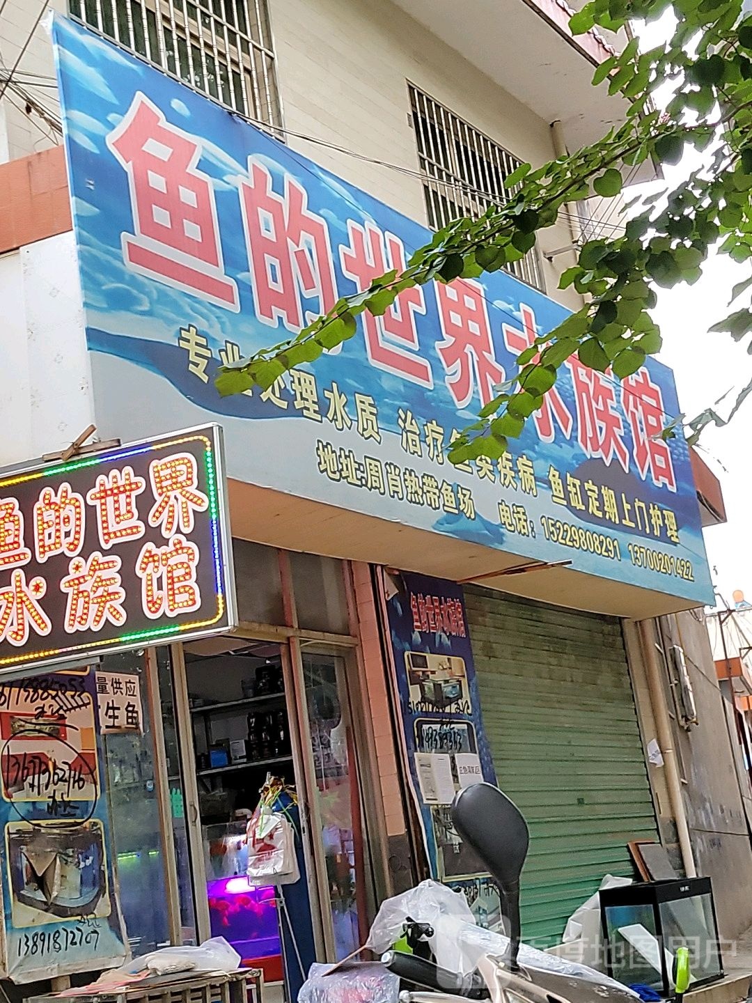 鱼的世界水族馆