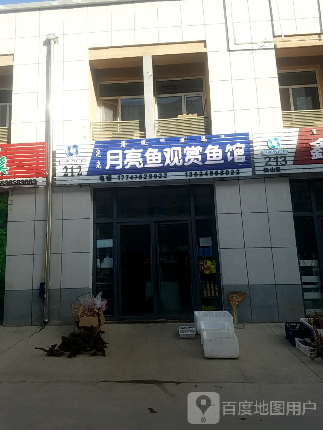 月亮鱼观商鱼水族馆