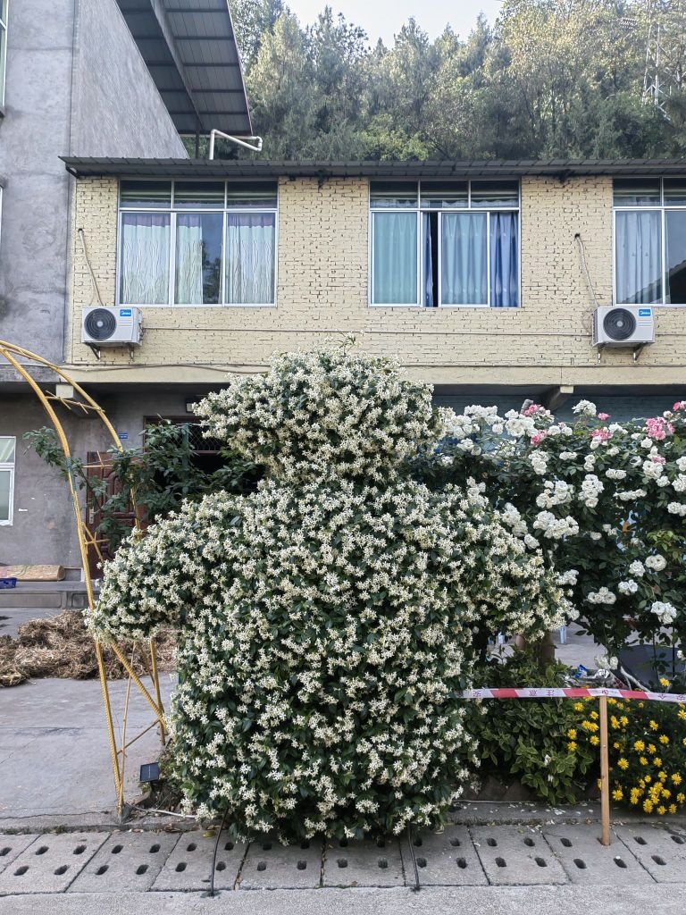 太阳湾小卖部