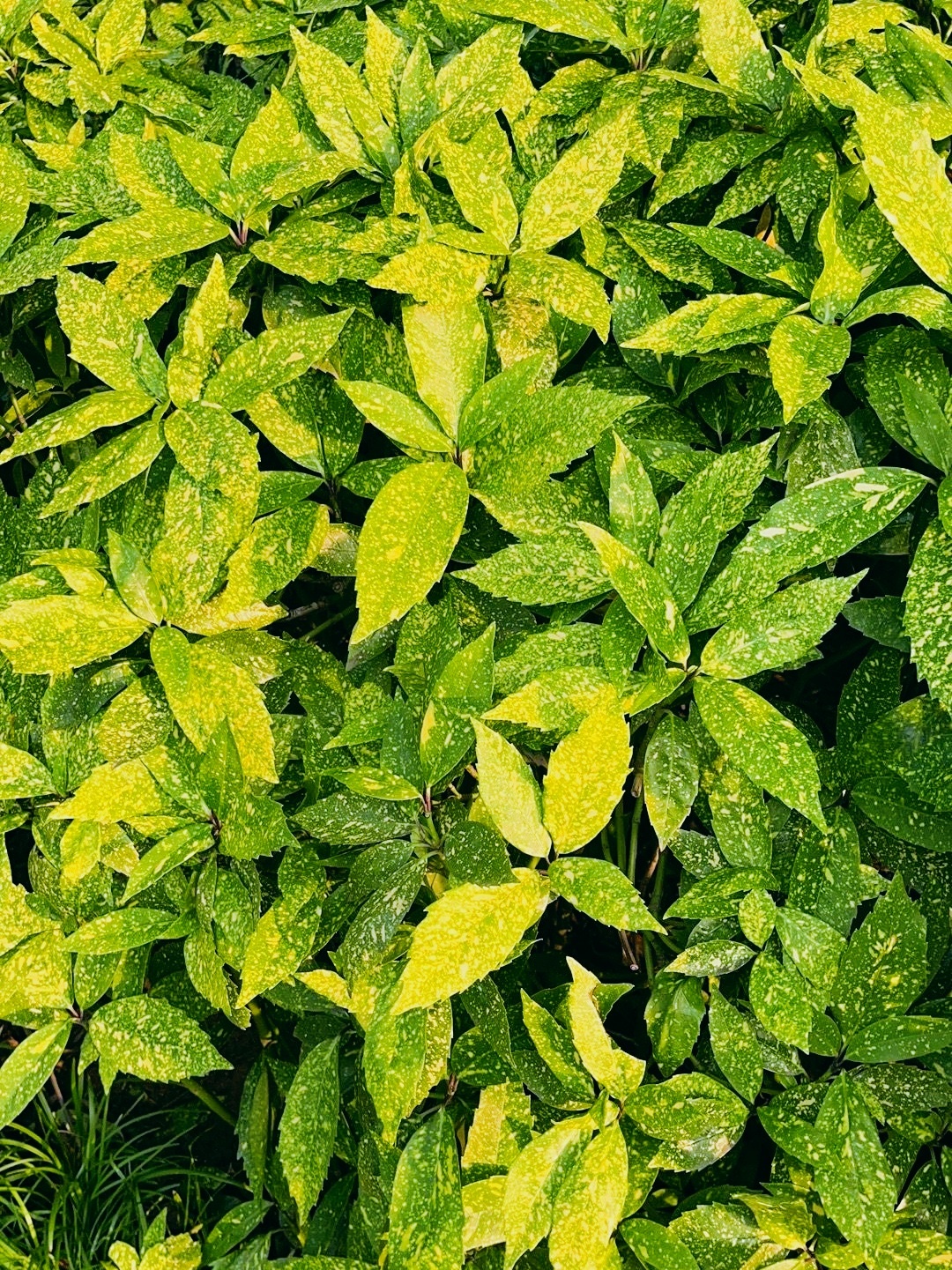 古黄河生态体育公园