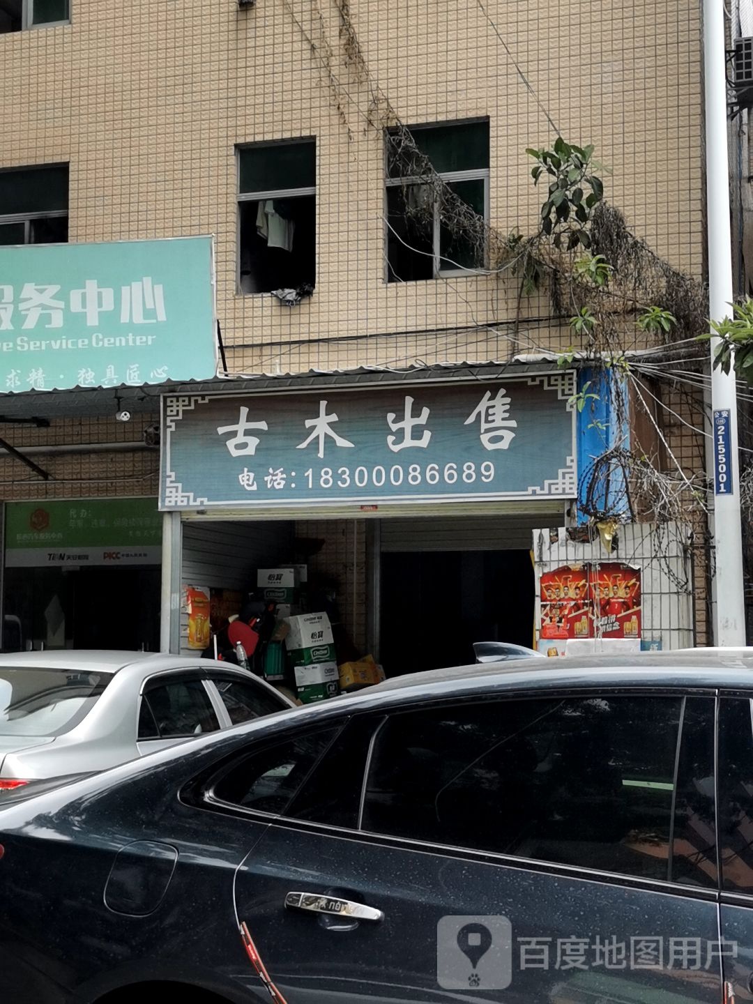 古木出售