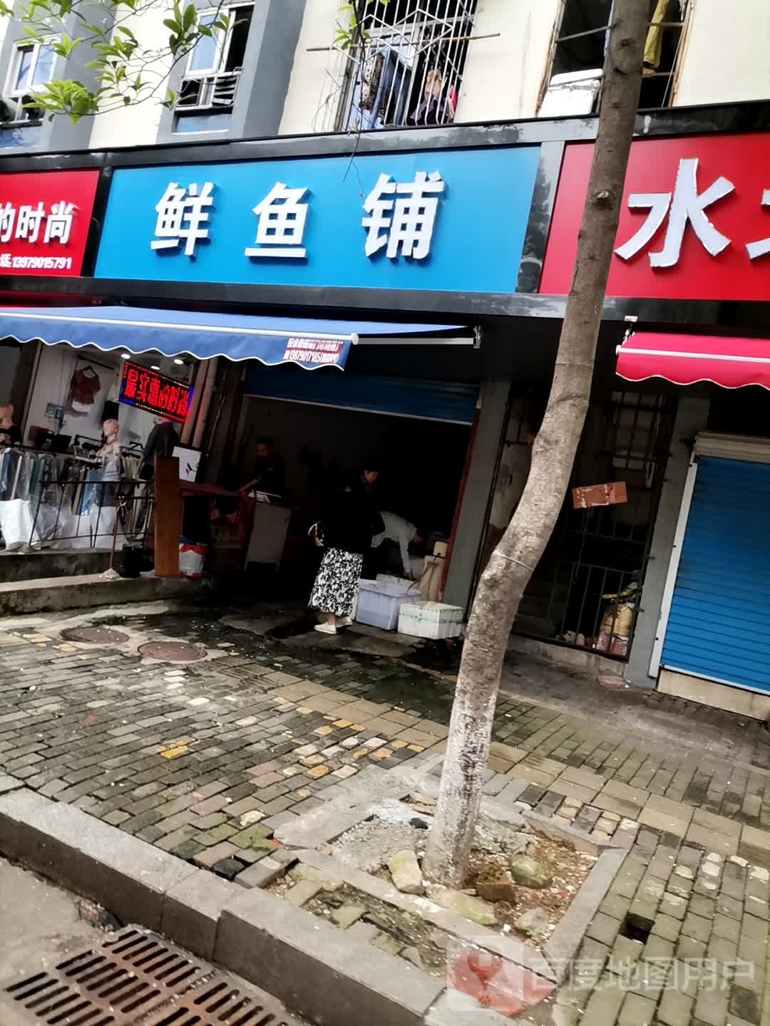 鲜鱼铺