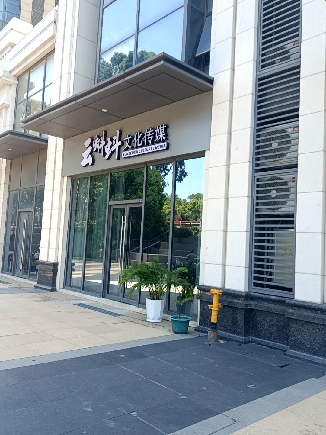 云蝌蚪文化传媒