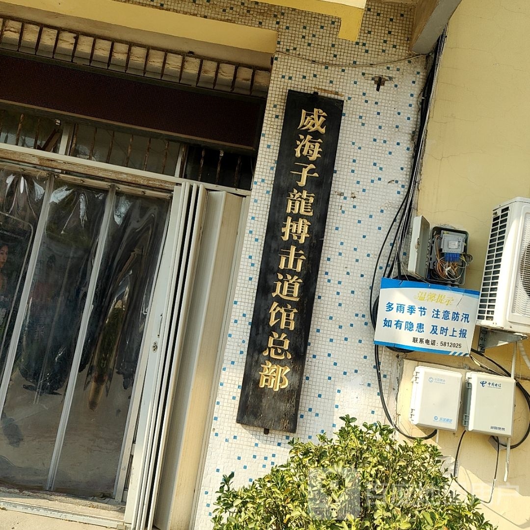威海子龙搏击道馆总部
