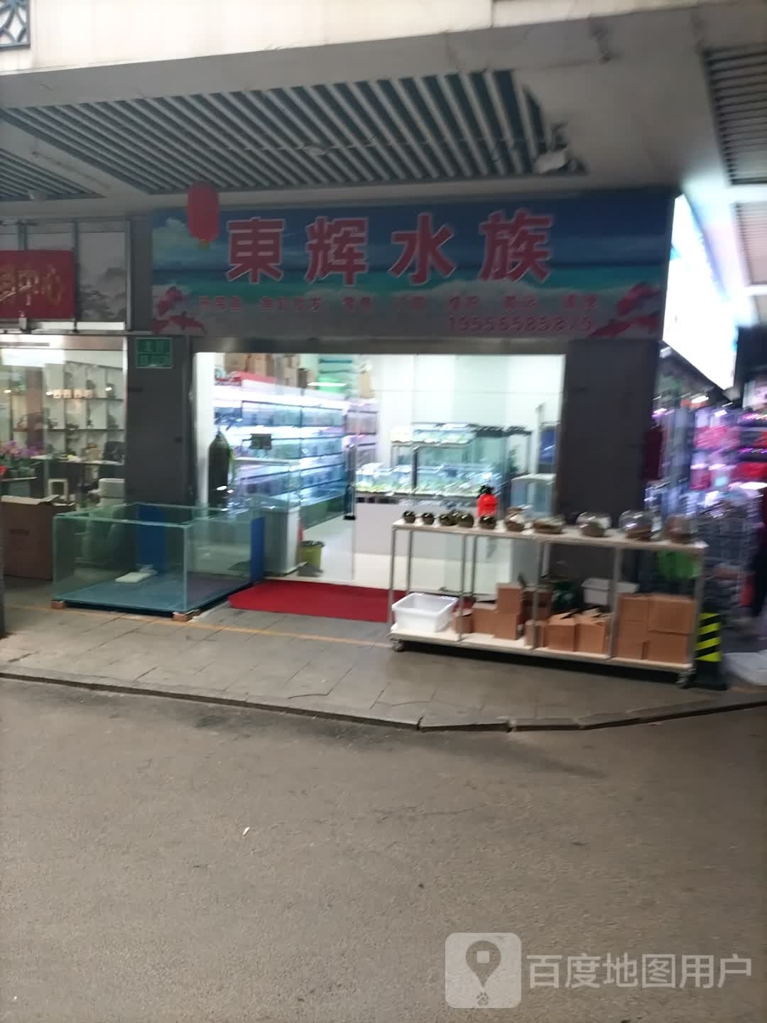 东辉水族
