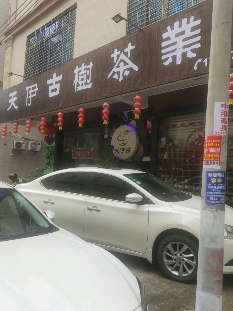 天伊古树茶业商行