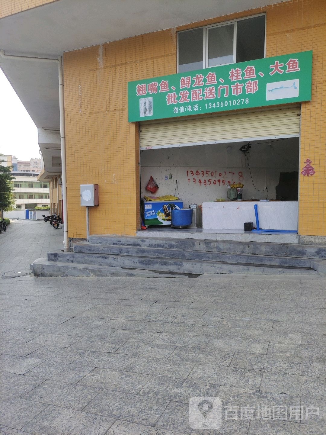 翘嘴鱼,鲟龙鱼,桂鱼,大鱼批发配送门市部