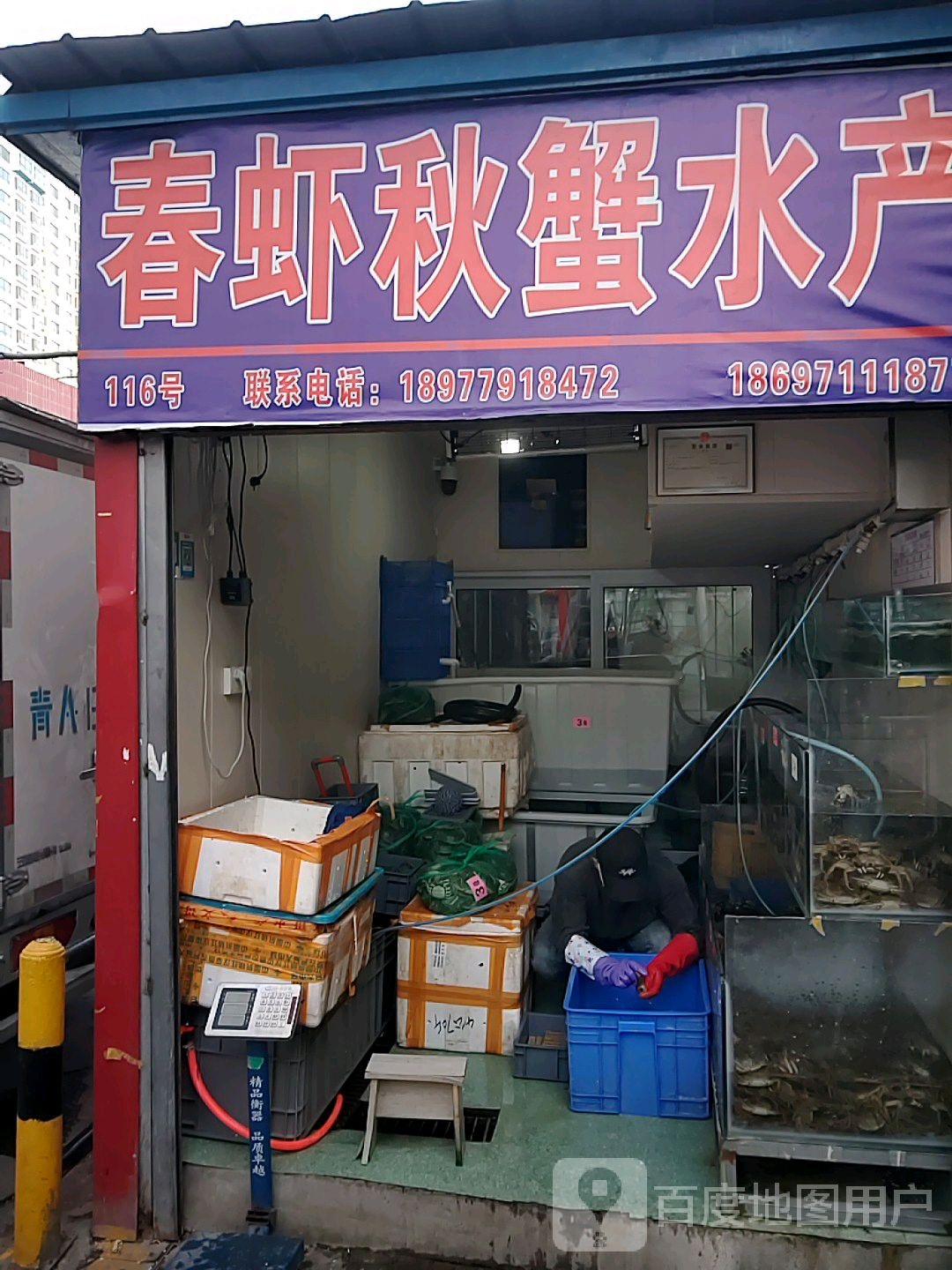 春夏秋蟹水产