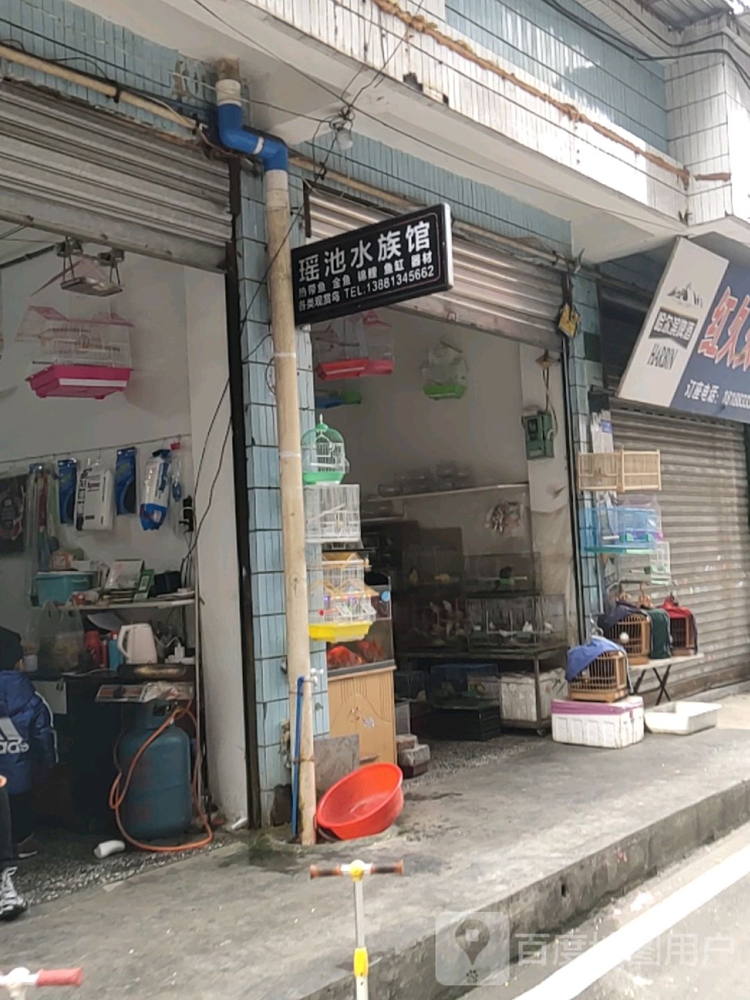 瑶池水族馆(安居苑店)