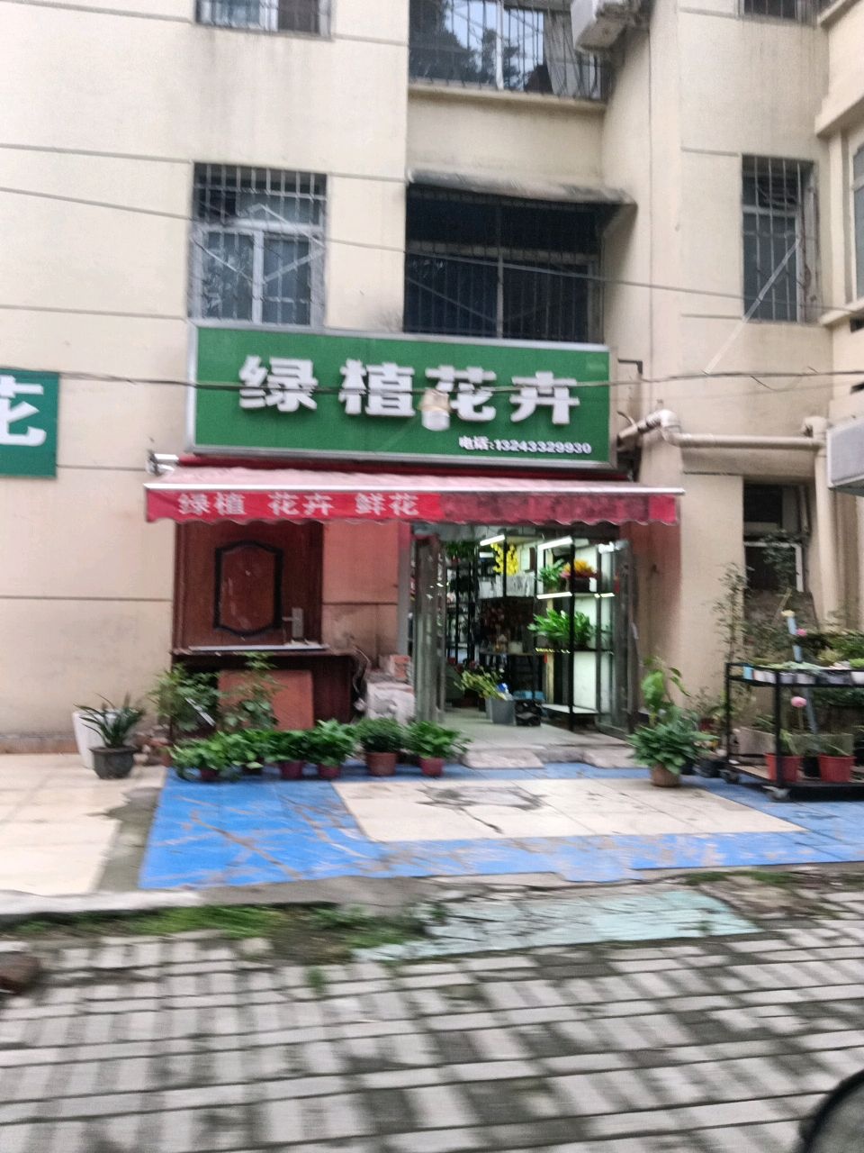 绿植花卉(鸡公山大街店)