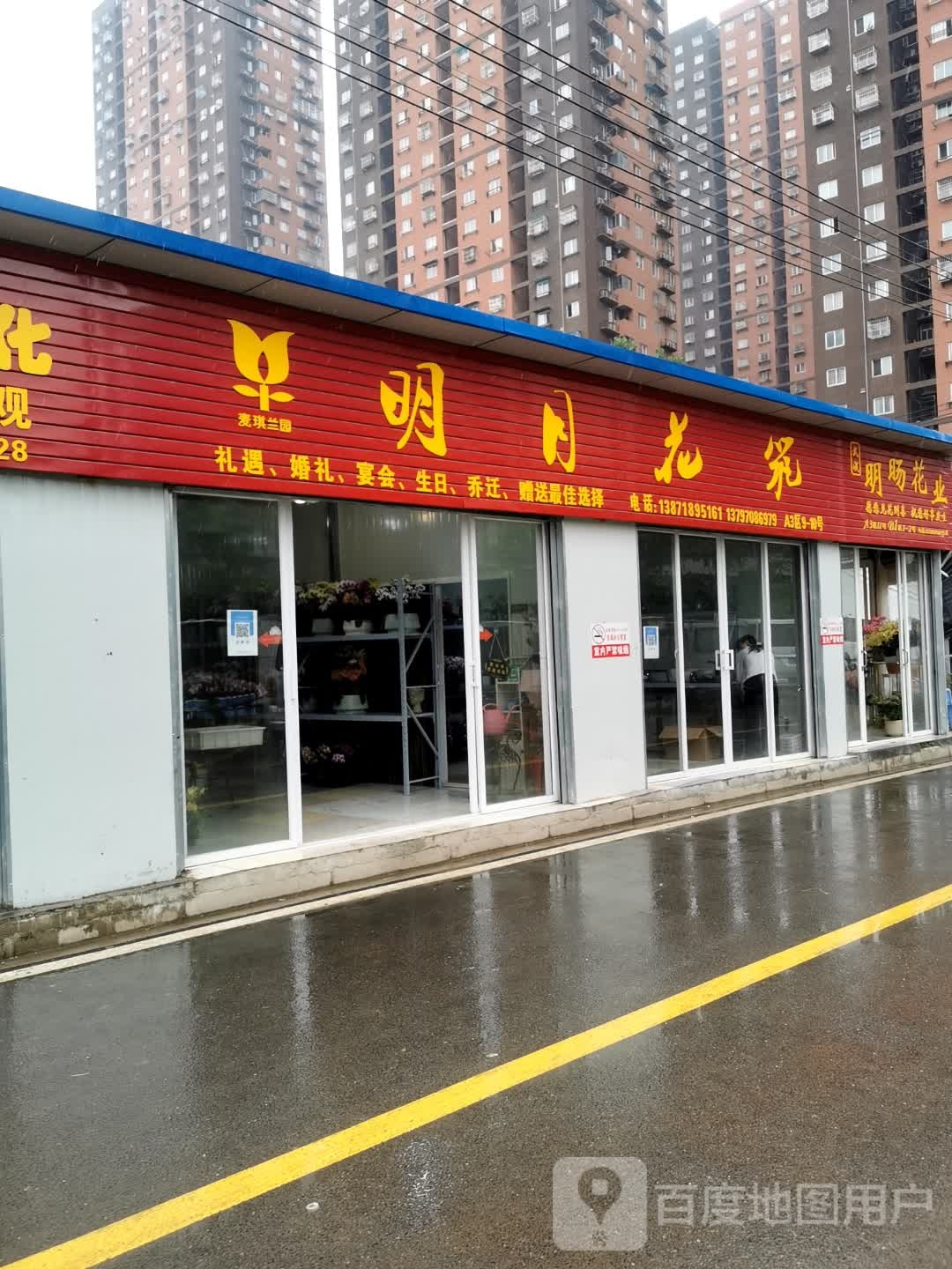 明月花筑蝴蝶兰专卖