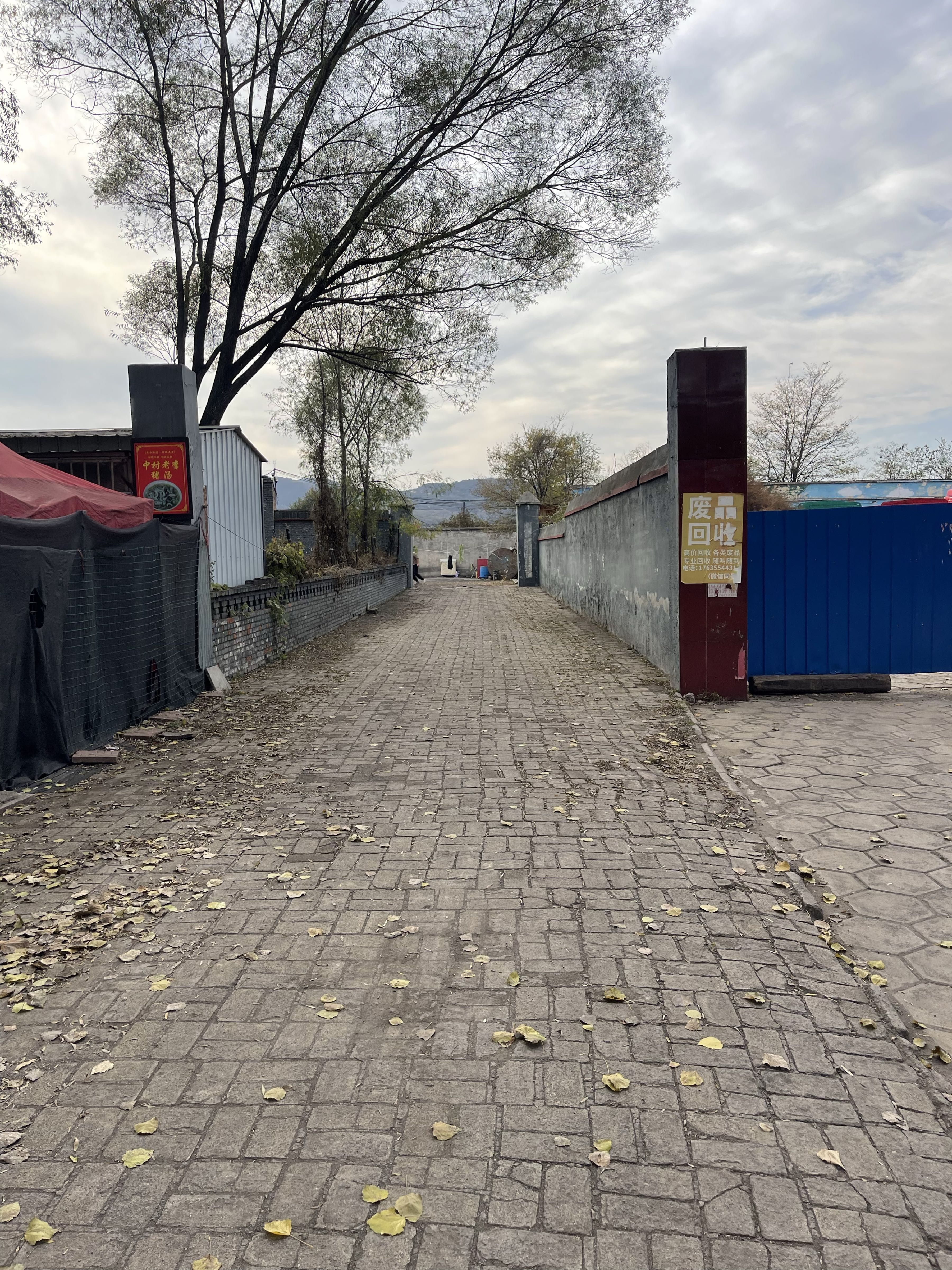 小秦高价收废铁