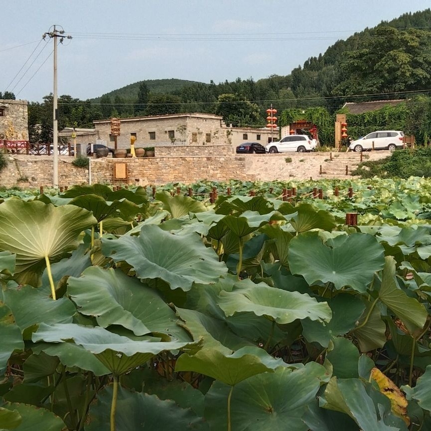 五埠岭伙大门景区