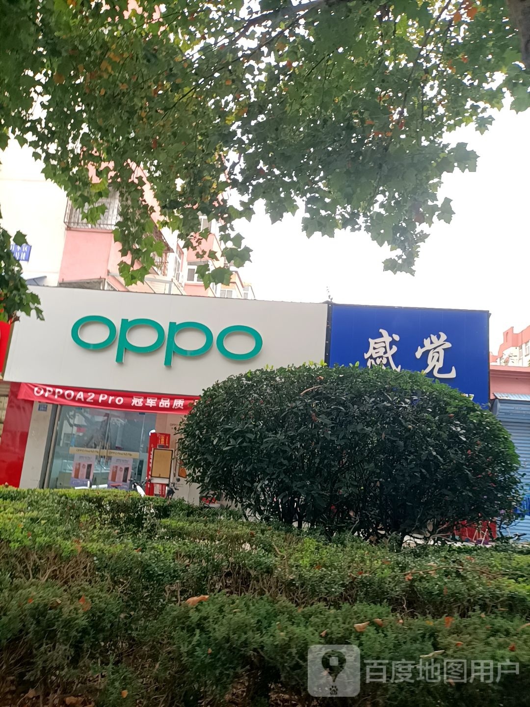 永城市OPPO官方授权体验店(永城芒山路店)