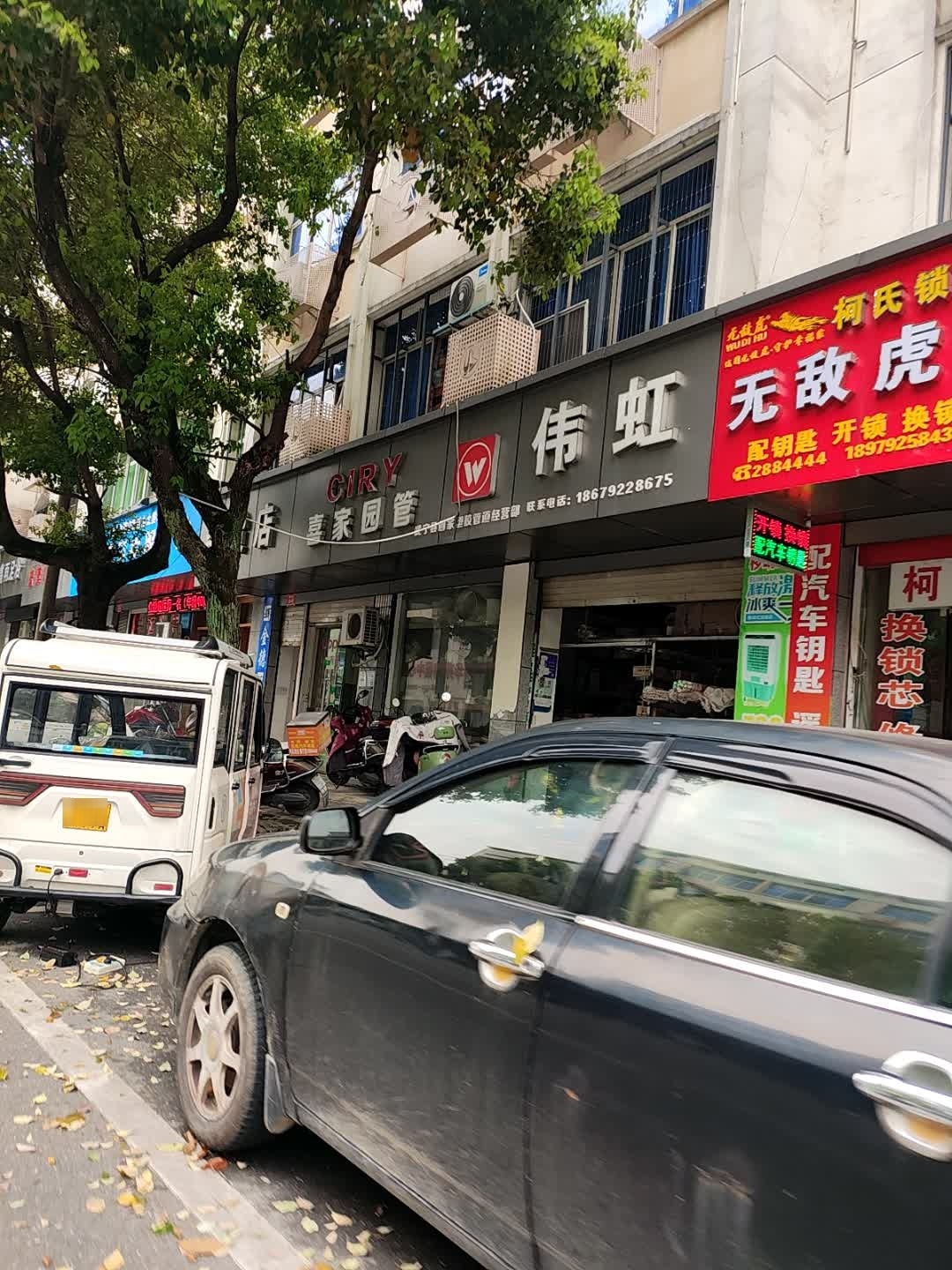 伟虹