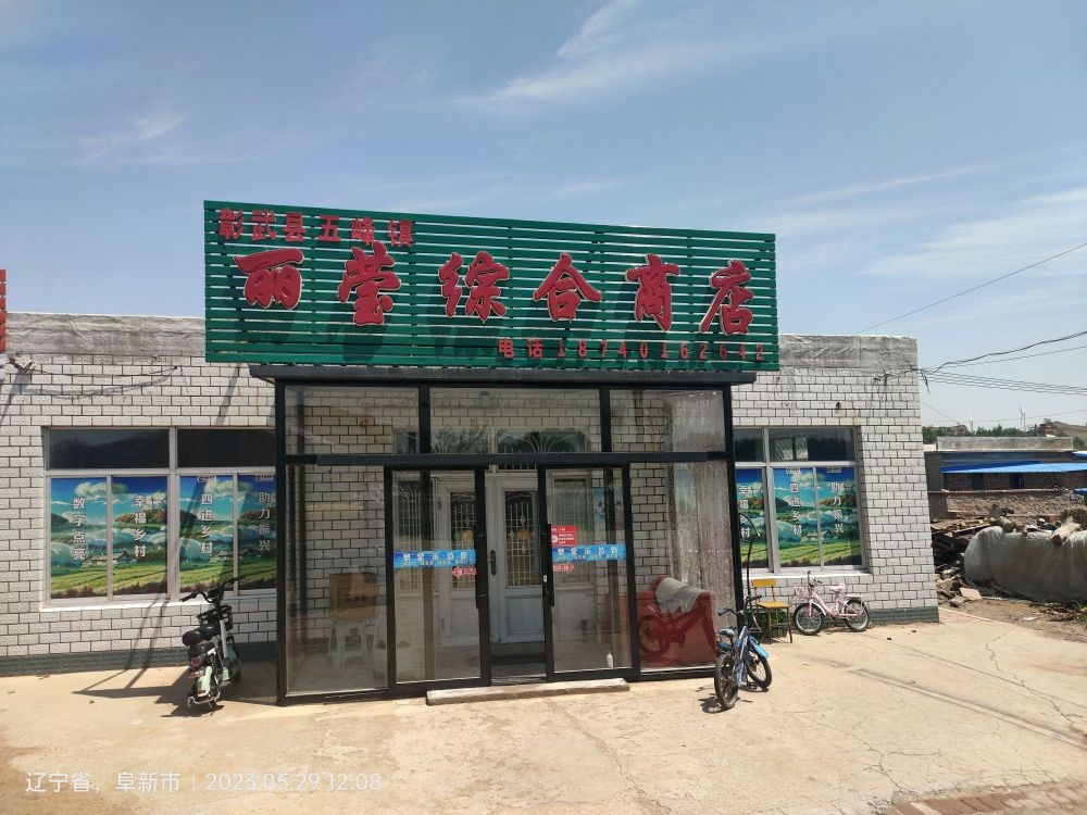 丽莹综合商店