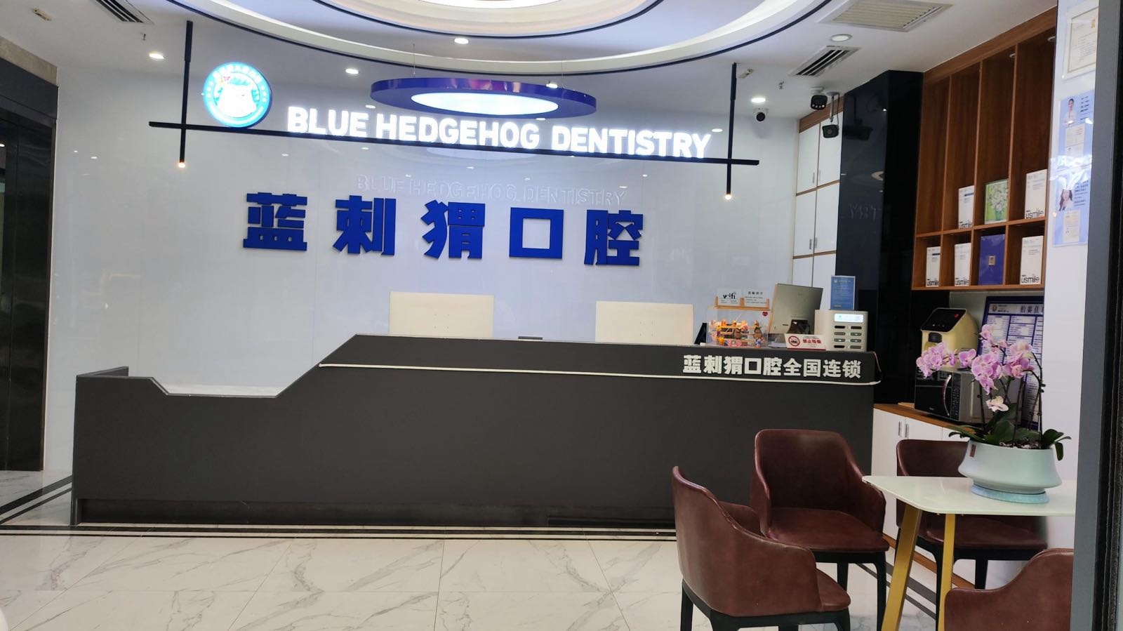 喀什柏赛佳蓝刺猬口腔