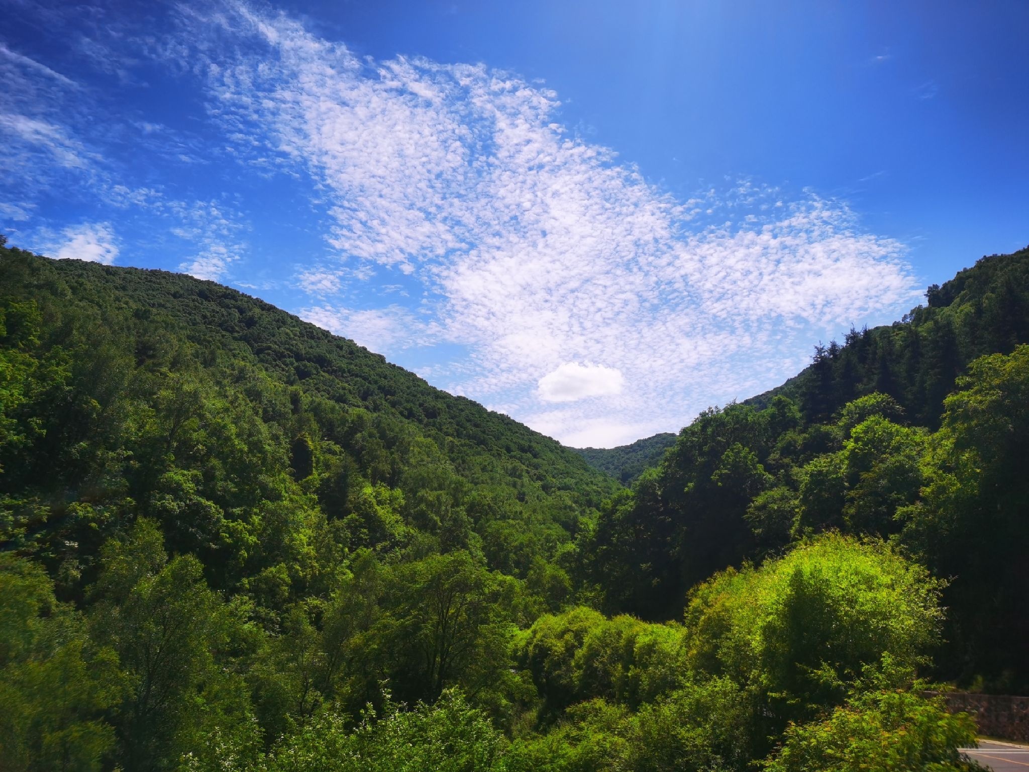六盘山国家森林公园