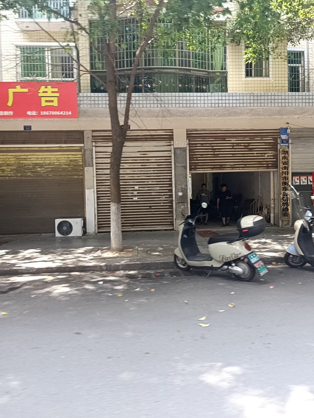 湖南省衡阳市衡东县信鸽协会