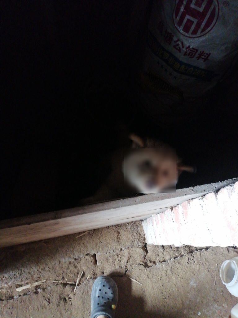 赵一鸣省钱超市(广东省肇庆市马安镇店)