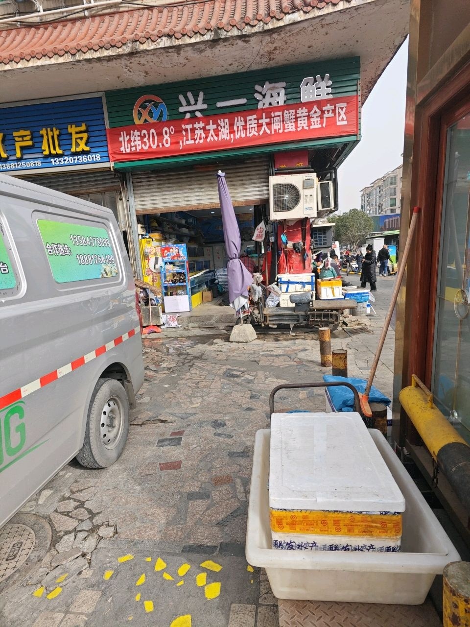 特种水产批发